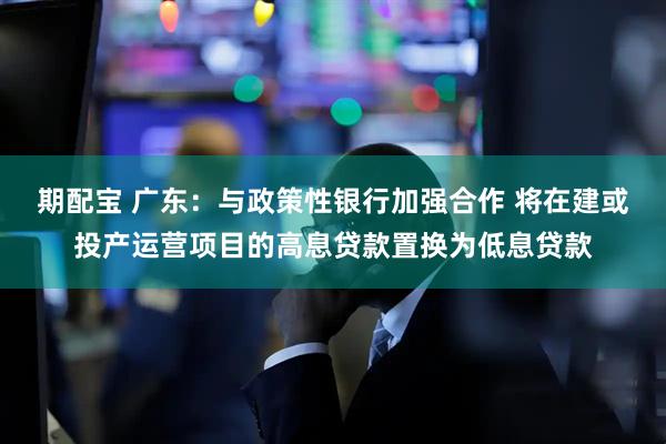 期配宝 广东：与政策性银行加强合作 将在建或投产运营项目的高息贷款置换为低息贷款