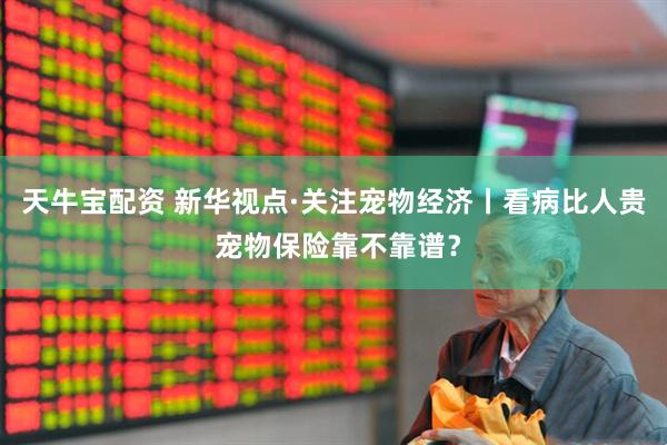 天牛宝配资 新华视点·关注宠物经济丨看病比人贵 宠物保险靠不靠谱？