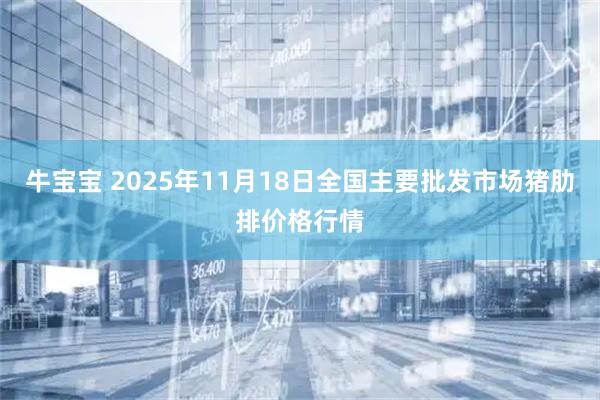 牛宝宝 2025年11月18日全国主要批发市场猪肋排价格行情
