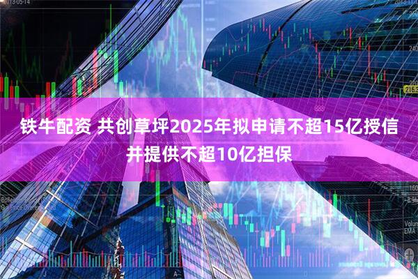 铁牛配资 共创草坪2025年拟申请不超15亿授信并提供不超10亿担保