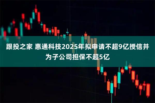 跟投之家 惠通科技2025年拟申请不超9亿授信并为子公司担保不超5亿