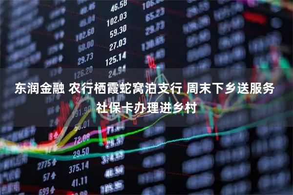 东润金融 农行栖霞蛇窝泊支行 周末下乡送服务 社保卡办理进乡村
