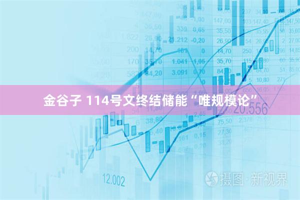 金谷子 114号文终结储能“唯规模论”