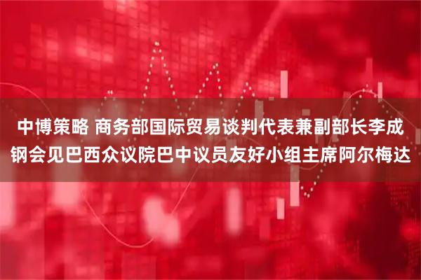 中博策略 商务部国际贸易谈判代表兼副部长李成钢会见巴西众议院巴中议员友好小组主席阿尔梅达