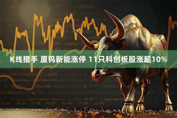 K线猎手 厦钨新能涨停 11只科创板股涨超10%